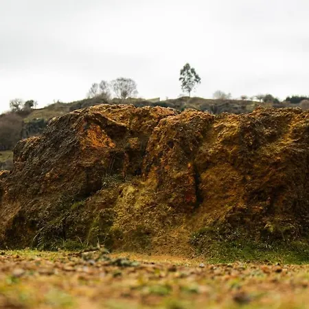 La Casa Del Patio アパート Zugaztieta