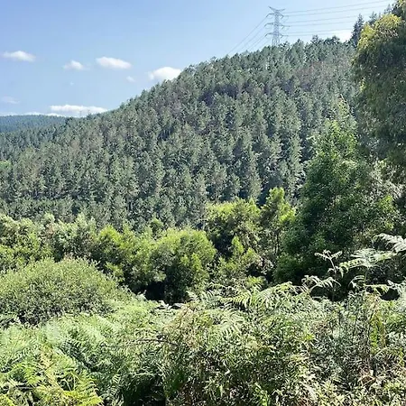 アパート La Casa Del Patio *