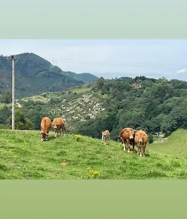 アパート La Casa Del Patio Zugaztieta