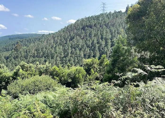 Apartman La Casa Del Patio *