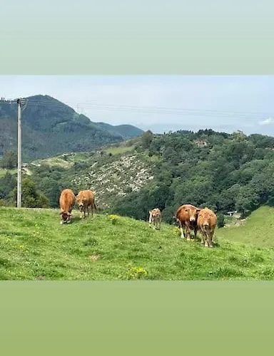 Apartman La Casa Del Patio Zugaztieta